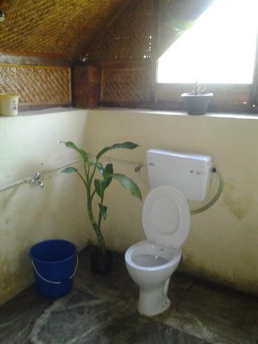 a bathroom with a toilet and a potted plant at Tathagata Farm in Darjeeling