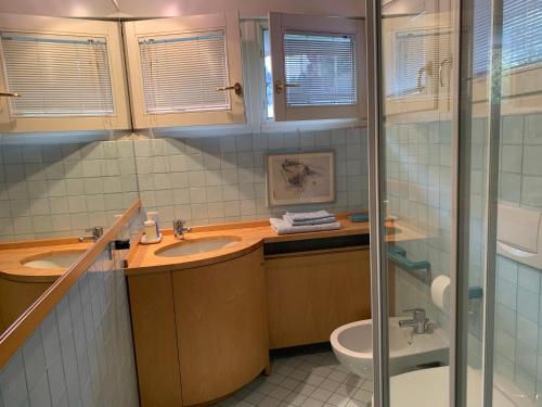 uma casa de banho com um lavatório, um WC e um chuveiro em Villa Maria Lago Maggiore em Reno Di Leggiuno