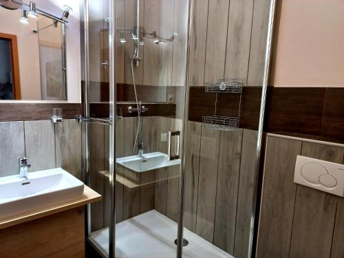 a bathroom with a shower and a sink at Dorf.Apart in Neustift im Stubaital