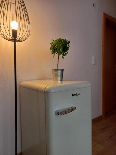a potted plant sitting on top of a small refrigerator at Dorf.Apart in Neustift im Stubaital