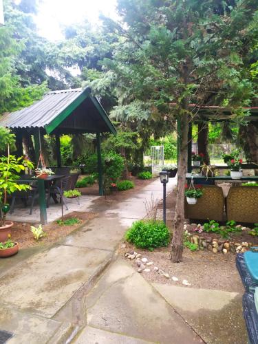 un giardino con padiglione, tavolo e albero di Joky Katona Rooms & Apartments a Palić