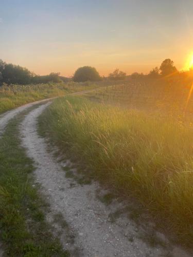 un chemin de terre dans un champ au coucher du soleil dans l'établissement appartement au coeur de Loupiac, à Loupiac-de-Cadillac