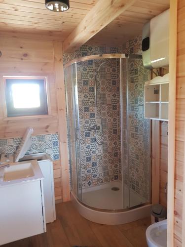 a bathroom with a shower and a sink at Gucio in Zwierzyniec