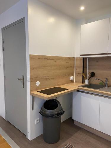 a small kitchen with a counter and a trash can at Insolite 237 in Chambéry