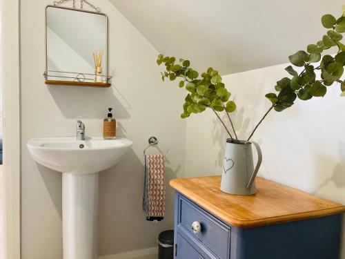 a bathroom with a sink and a vase with a plant at The Loft at Number 84 in Ballymena