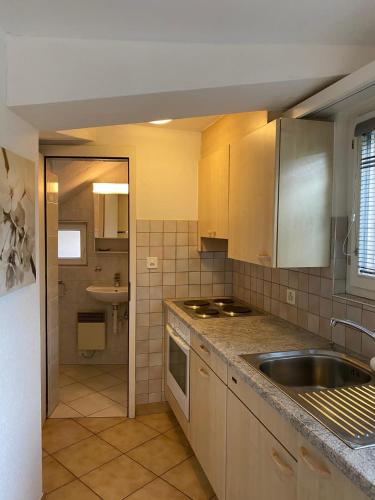 a kitchen with a sink and a counter top at Casa Sibylle studio - piccolo paradiso in Minusio