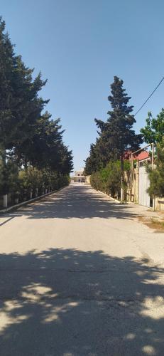 an empty road with trees on the sides of it at Guest house near Baku airport in Baku