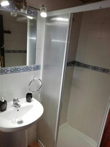 a bathroom with a sink and a shower at Molino de Louzao in Palas de Rei