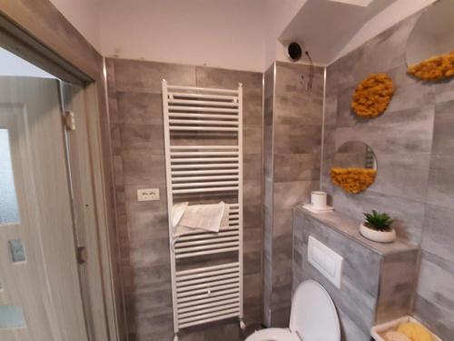 a bathroom with a toilet and a shower at Studio in Tulcea