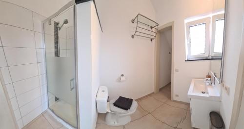 a bathroom with a shower and a toilet and a sink at Le Vers'AYE in Aye