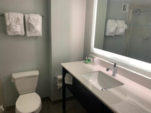 a bathroom with a sink and a toilet and a mirror at Holiday Inn University Area Charlottesville by IHG in Charlottesville