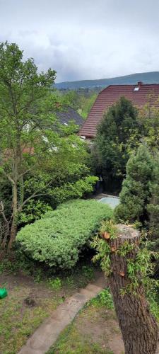 a garden with bushes and trees and a house at Kemencés Kert Apartment in Pilisszentiván