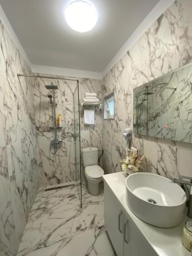 a bathroom with a sink and a toilet at Casa Ina in Moisei