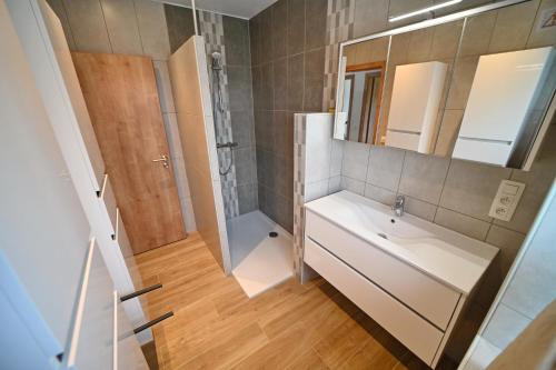 a bathroom with a sink and a shower and a mirror at La Petite Maison dans la Prairie in Hotton