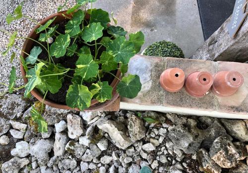 Gambar di galeri bagi Les fontanelles du quercy blanc di Montcuq