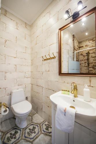 a bathroom with a toilet and a sink and a mirror at Central Dayflat Apartments in Kyiv
