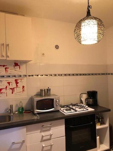 une cuisine avec un micro-ondes et une cuisinière four supérieur dans l'établissement U riposu, à Bastia