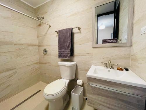 een badkamer met een toilet, een wastafel en een spiegel bij Private Patio Retreat with Zen Vibe and FREE Laundry in Ponce