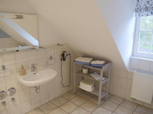 a small bathroom with a sink and a shower at Lindenhof Wohnung 3, Dachgeschoß in Vipperow