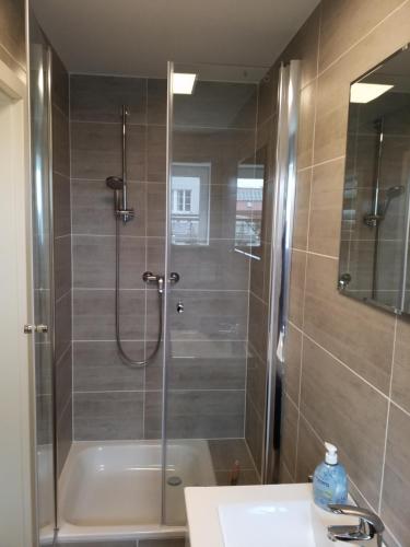 a bathroom with a shower and a sink at Ferienwohnung Kleines Nest in Hohendodeleben