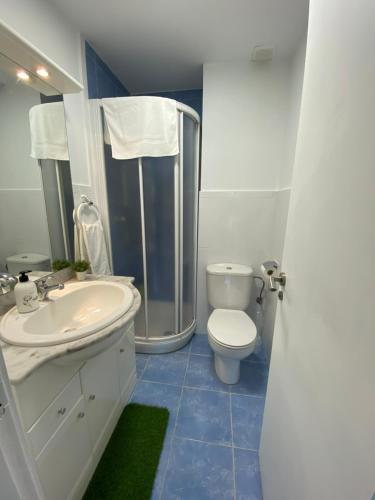 ログローニョにあるApartamento La Redonda Catedral y aire acondicionadoのバスルーム(トイレ、洗面台、シャワー付)