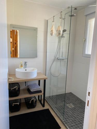une salle de bain avec un lavabo et une douche dans l'établissement Maison Ile de Batz, à Île-de-Batz