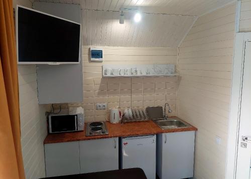 a small kitchen with a sink and a microwave at Комплекс На Дачі in Vyshpolʼ