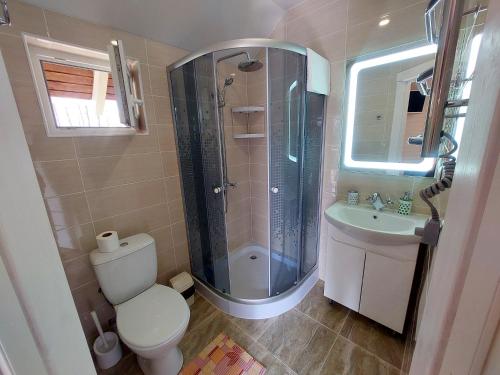a bathroom with a shower and a toilet and a sink at Комплекс На Дачі in Vyshpolʼ