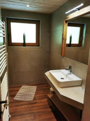 a bathroom with a sink and two windows at Ferienwohnung Brugger in Zellberg