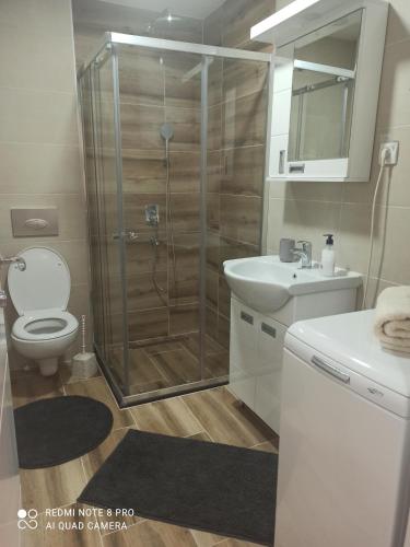 a bathroom with a shower and a toilet and a sink at Апартман Андреј in Banja Koviljača