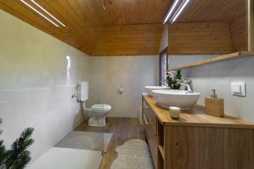 Koupelna v ubytování Chalet Neza Velika Planina