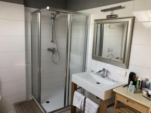 La salle de bains est pourvue d'une douche, d'un lavabo et d'un miroir. dans l'établissement Comfortable chalet Sankt Oswald, à Sankt Oswald