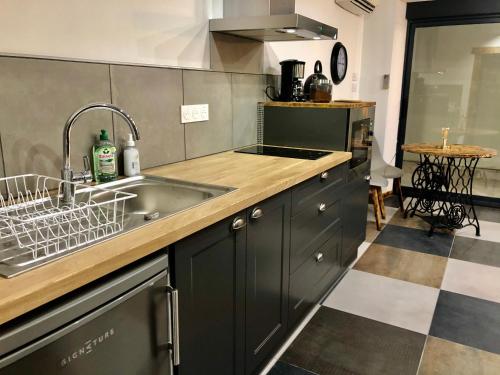 a kitchen with a sink and a counter top at Studio cocooning Spa, lit XXL, cour extérieure in Le Puy en Velay