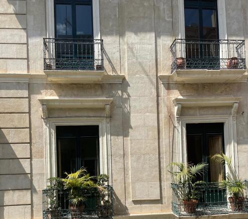 a building with balconies and potted plants on it at LC Hotel Urbano in Alicante