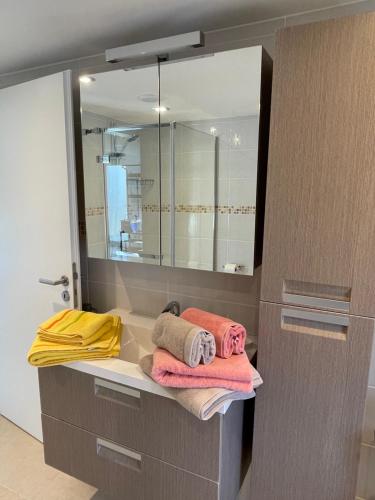 a bathroom with towels on a counter and a mirror at GITE D'Hotlîs in Aywaille