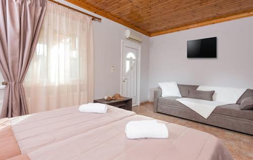 波托西的住宿－VILLA IATROU，一间卧室配有一张大床和一张沙发