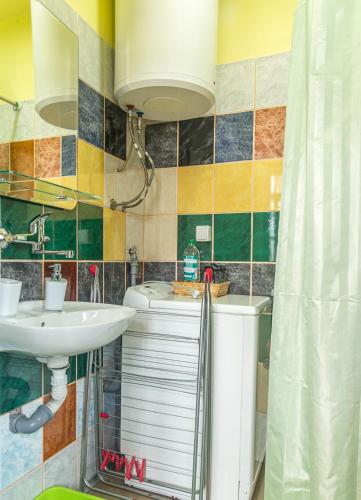a bathroom with a sink and a shower curtain at Rustična kuća CRVENA STENA u blizini kućice na Drini in Bajina Bašta