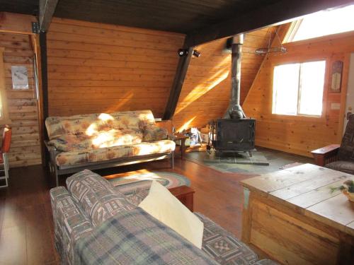 ein Wohnzimmer mit einem Sofa und einem Kamin in der Unterkunft The Wüdenknipple in Bessemer