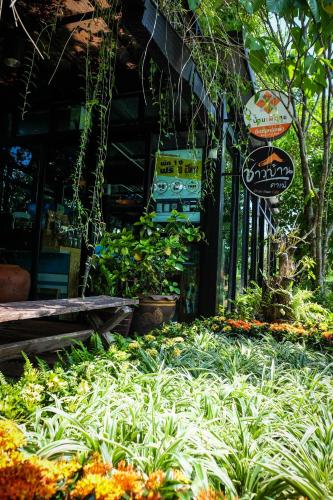 Κήπος έξω από το โรงแรมบ้านเพิ่มสุข อิมแพ็ค เมืองทอง