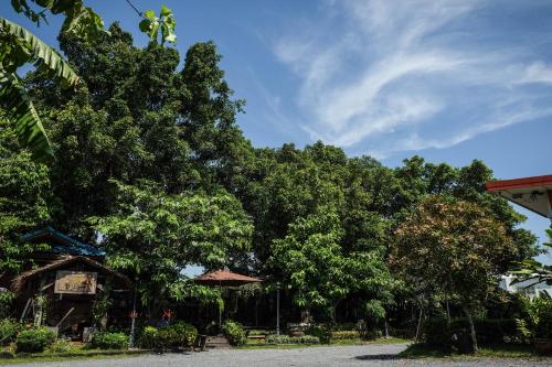 Κήπος έξω από το โรงแรมบ้านเพิ่มสุข อิมแพ็ค เมืองทอง