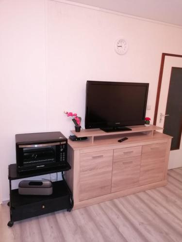 a television on top of a wooden entertainment center at CrisAnd Wald &Terrasse in Altenau