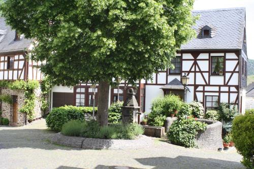 a house with a tree in front of it at Komfort Ferienwohnung FEWO74-2 in Bremm