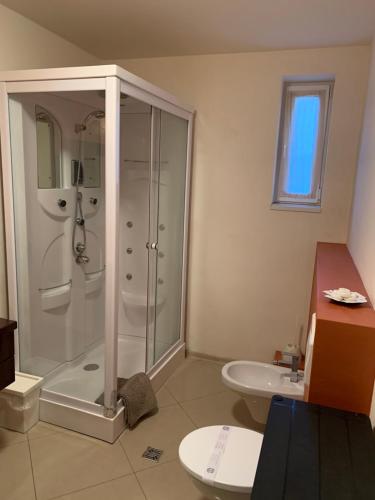 a bathroom with a shower and a toilet and a sink at Dorf Haus Valiug in Văliug