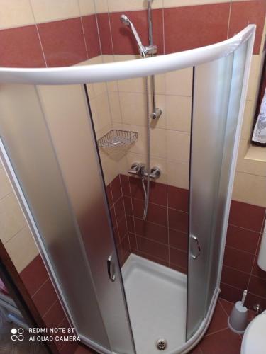 W łazience znajduje się prysznic ze szklanymi drzwiami. w obiekcie Apartment Gogo w mieście Umag