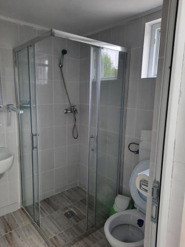 a bathroom with a shower and a toilet at Casa Antonia si Maria in Ostrov