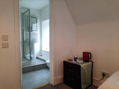 a bathroom with a toilet and a sink and a mirror at Jacobite Rose in Inverness