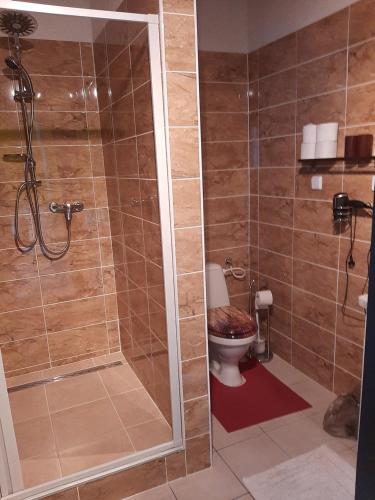 a bathroom with a shower and a toilet at Apartmán u Junků in Pernink