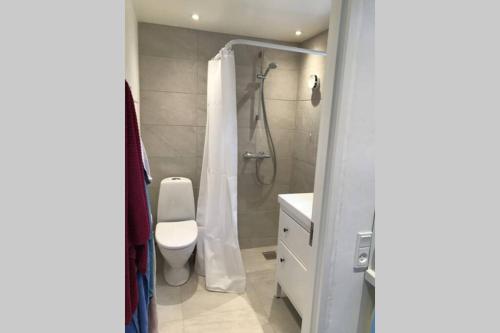 a bathroom with a shower with a toilet and a sink at Landlig idyl - direkte til golfbane in Slagelse