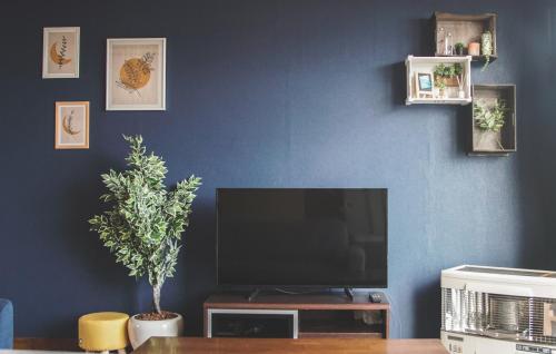TV a/nebo společenská místnost v ubytování Furano View House