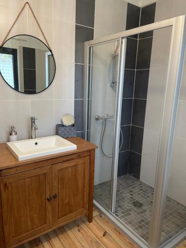 een badkamer met een douche, een wastafel en een spiegel bij La Villa Romy in Le Crotoy